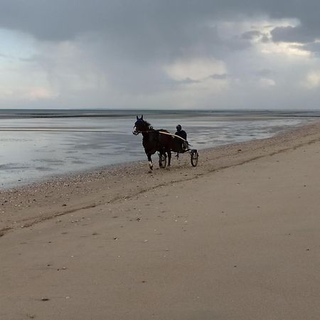 Maisonnette Le Cottage A 50M De La Plage D'Asnelles , 3Km D'Arromanches, 10Km De Bayeux ภายนอก รูปภาพ