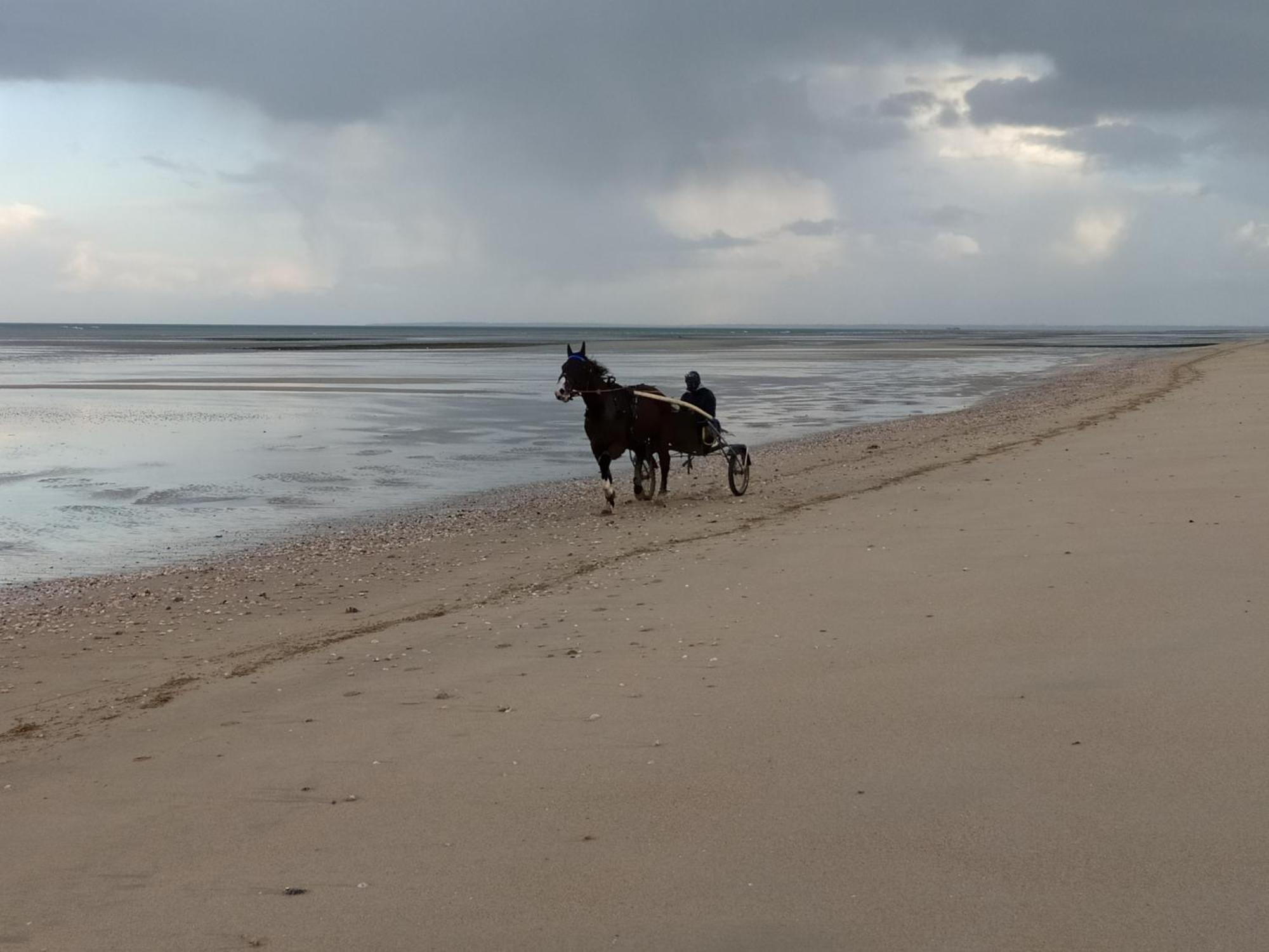 Maisonnette Le Cottage A 50M De La Plage D'Asnelles , 3Km D'Arromanches, 10Km De Bayeux ภายนอก รูปภาพ